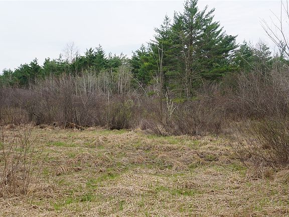 3rd image of 30 Acres Kovar Road