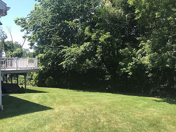 Big back yard 