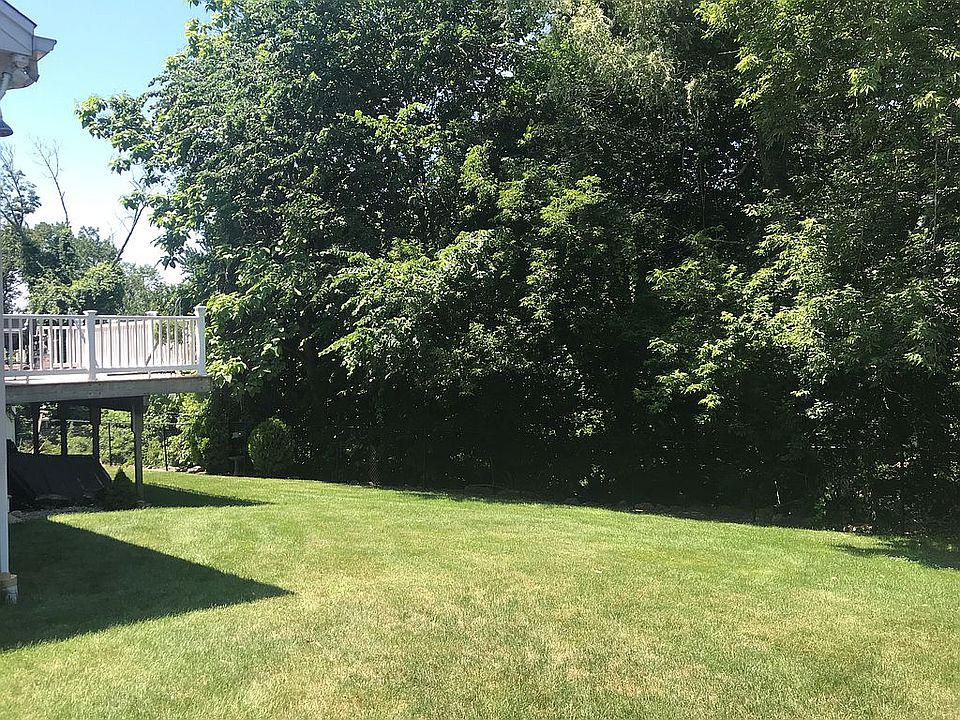 Big back yard 
