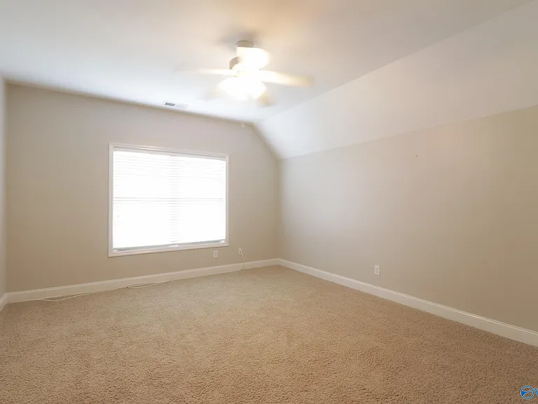 101 Mill Ridge Dr — Photo 30