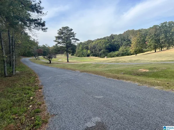 Jones Rd #1, Alpine, AL 35014