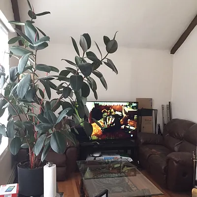 Rented by George Realty Group LLC | media 24