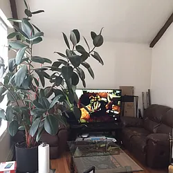 Rented by George Realty Group LLC