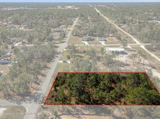 8447 Mazette Rd, Weeki Wachee, FL 34613