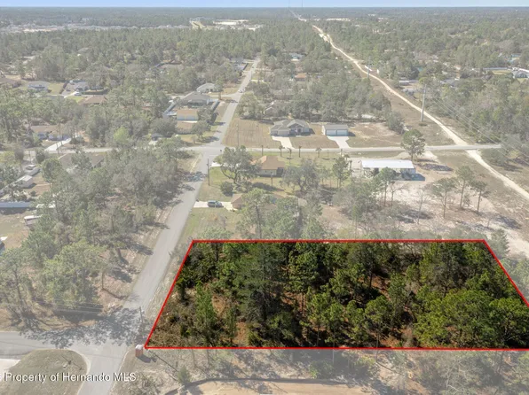 8447 Mazette Rd, Weeki Wachee, FL 34613