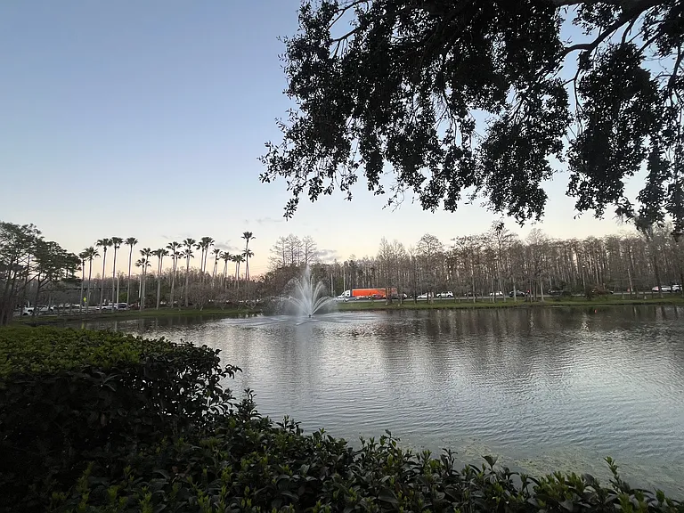 Lake view