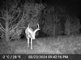 390 E Juniper Ln #107, Ash Fork, AZ 86320