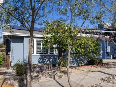 328 Glendale Ave, Oakland, CA, 94618
