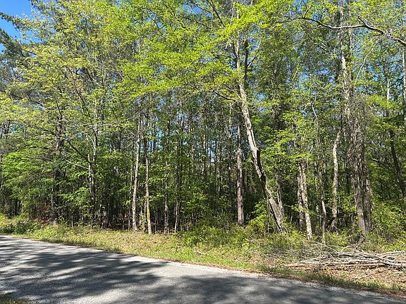 4th image of 0 Hobby Coop Rd