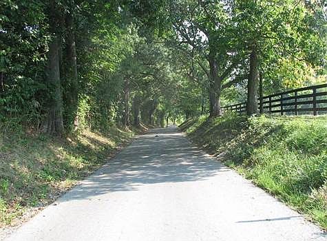 Welcome to 670 Lake Road!