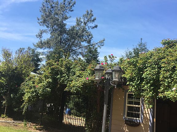 3rd image of 2951 Shingle Springs Dr