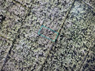 Randi Ave, Hastings, FL 32145