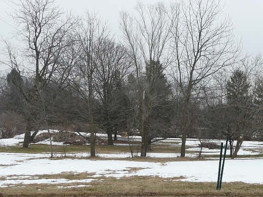 1st image of 1 Arnold Ave