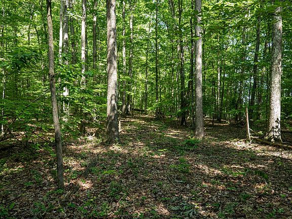 3rd image of 1 Sycamore Fork Rd