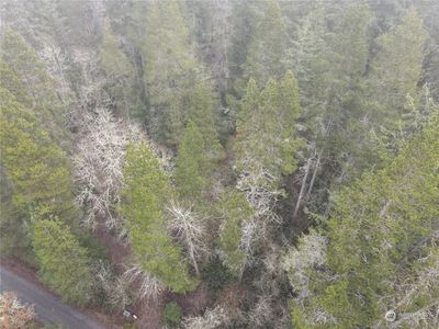 0 Pine Tree Road, Toledo, WA, 98591