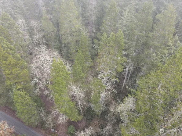 0 Pine Tree Road, Toledo, WA 98591