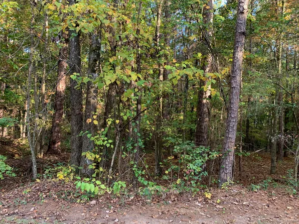 10 Fern Ridge Ct, Dadeville, AL 36853