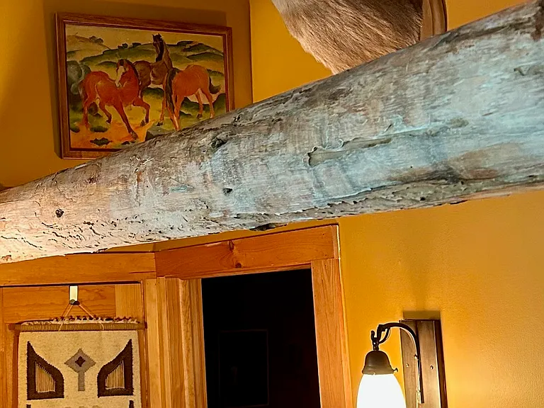 Living Area with vintage tapestry, Franz Marc horse print, buck trophy head and Guatemalan folk mask.