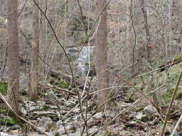 1958 County Road 32, Fackler, AL 35746