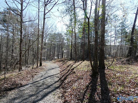 5th image of 12 County Road 123