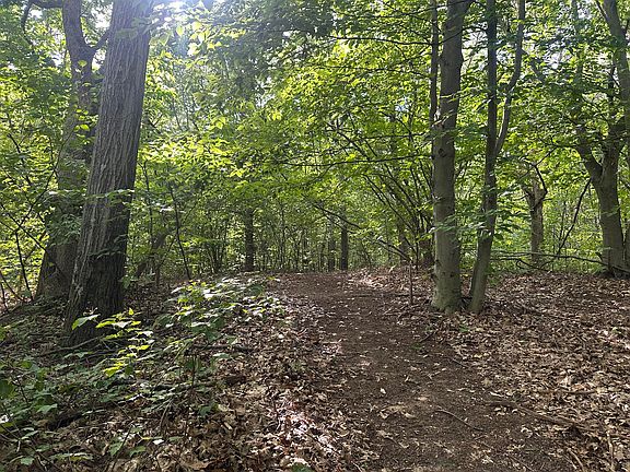2nd image of Newago Trl