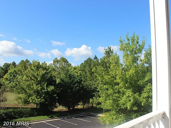 Overlooks mature trees