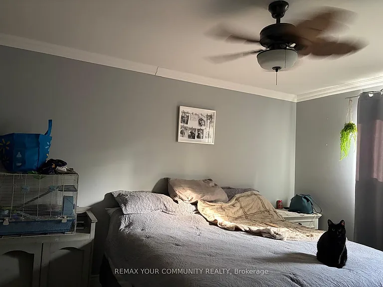 17 Daphne Cres — Photo 11
