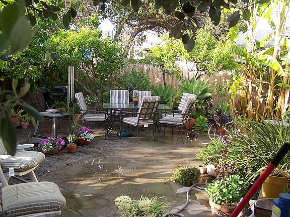 Garden corner, afternoon