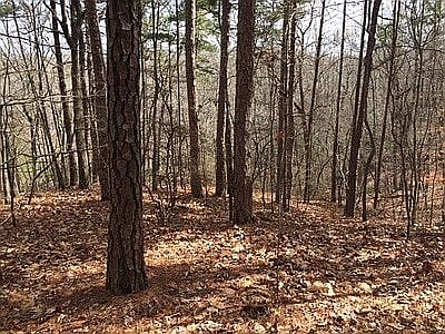 5th image of Hiram-acworth Hwy