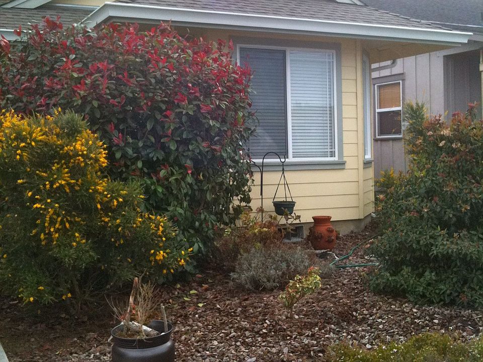 Landscaped front yard and bay windows