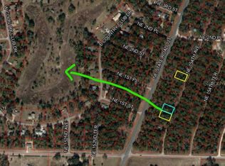NE 154th Ave LOT 10, Williston, FL 32696