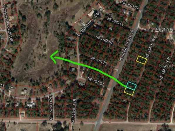 TBD NE 154 AVENUE LOT 10, WILLISTON, FL 32696