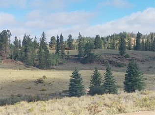 1167 Latigo Loop, Hartsel, CO 80449