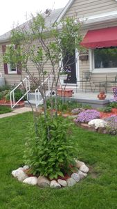 12484 Cardwell St, Livonia, MI, 48150