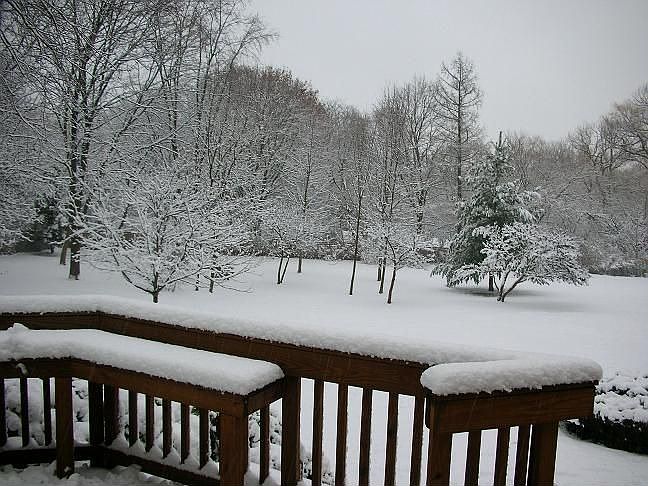 Fenced Yard in Winter