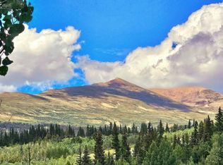 295 Silver Plume Rd, Alma, CO 80420