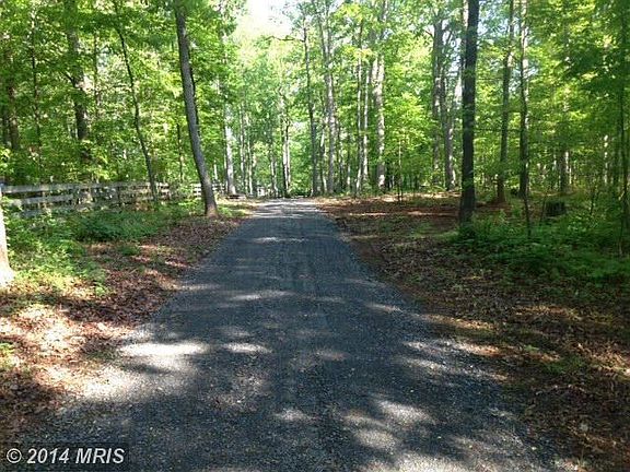 looking north on the driveway