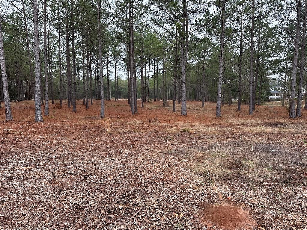 1047 Green Rd, Ellaville, GA 31806 Zillow