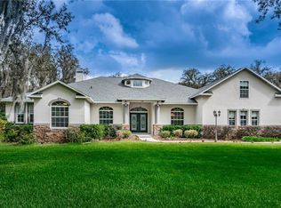 3505 McIntosh Oaks Ct, Dover, FL 33527