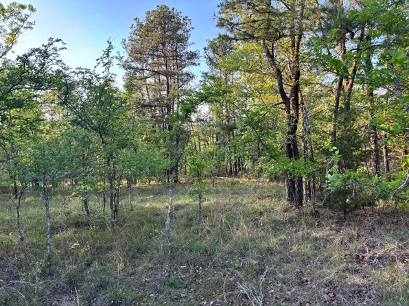 1 Way Rd #73-000, Ringold, OK 74754