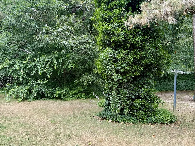 28 Abbott Rd #26 — Photo 13