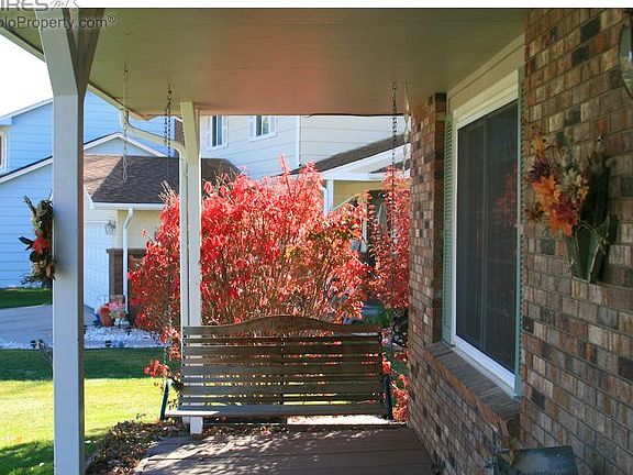 Porch swing
