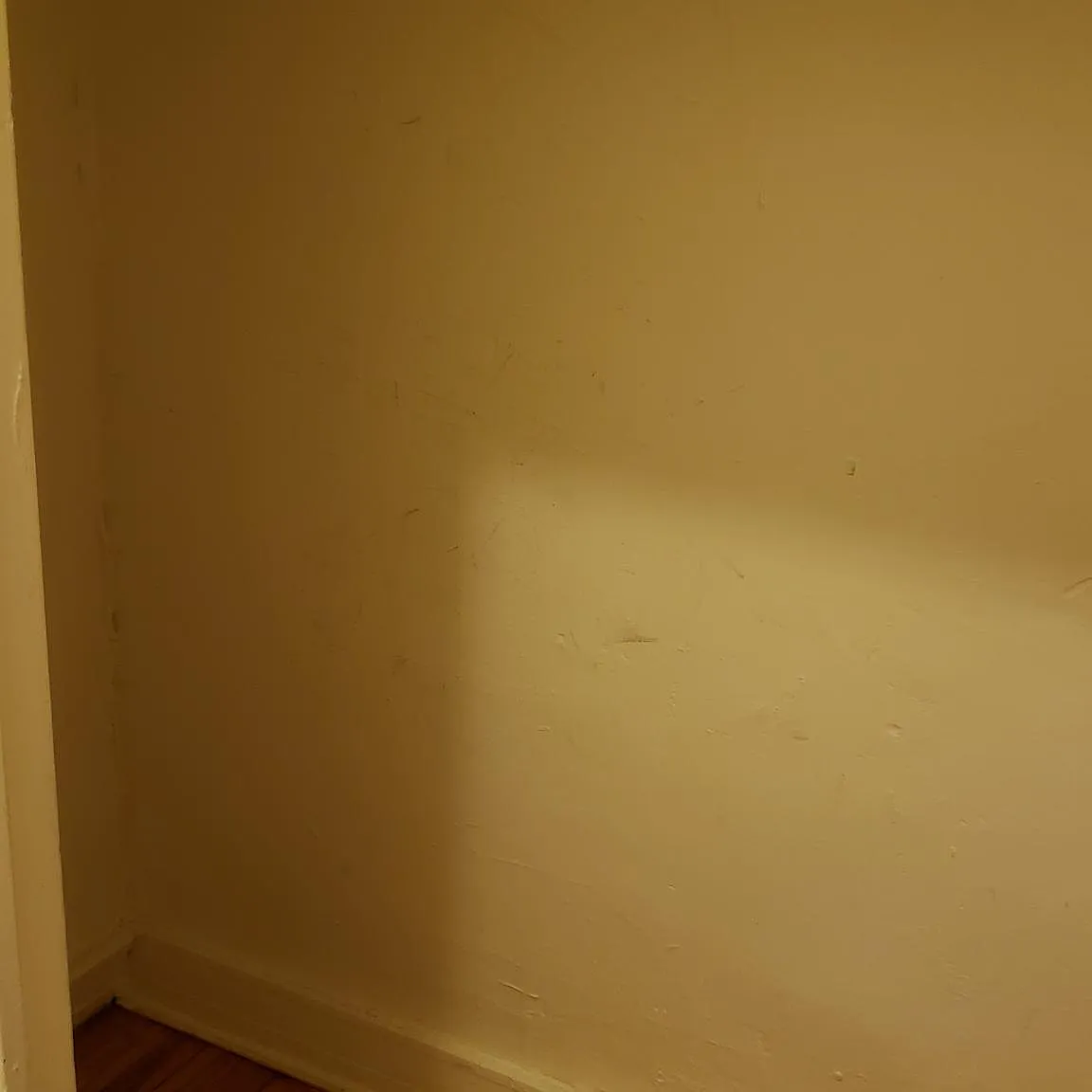 2 bed, 1250 sqft, $2,325 — Photo 4