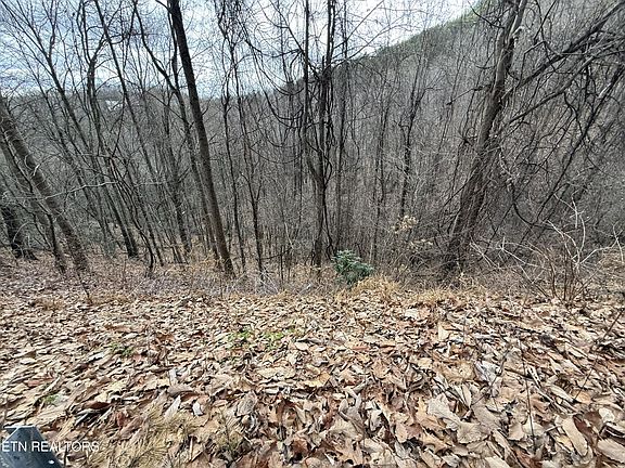 3rd image of 34 Alpine Dr Lot 34
