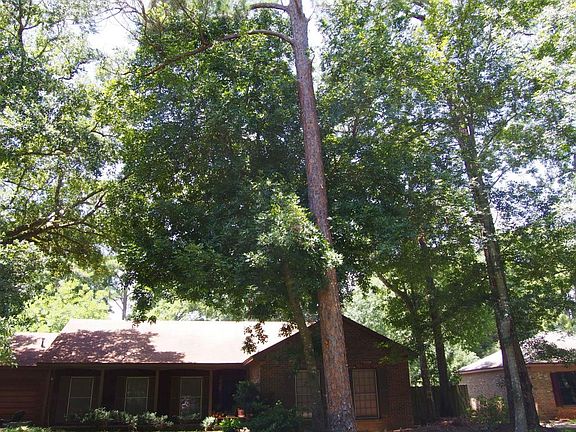 4th image of 109 Bahia Vista Dr