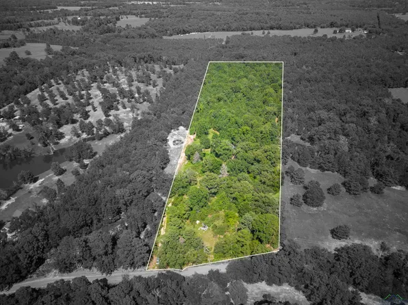 138 Holly Rd #3102, Gilmer, TX 75644