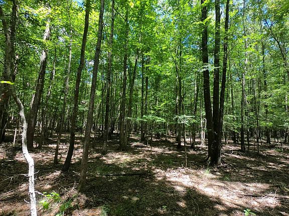 2nd image of County Road 4916