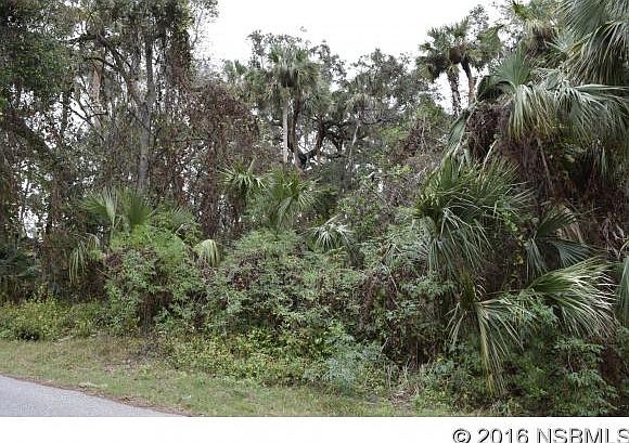 2nd image of 1403 Pine Tree Dr