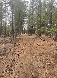2nd image of Red Spuce Rd