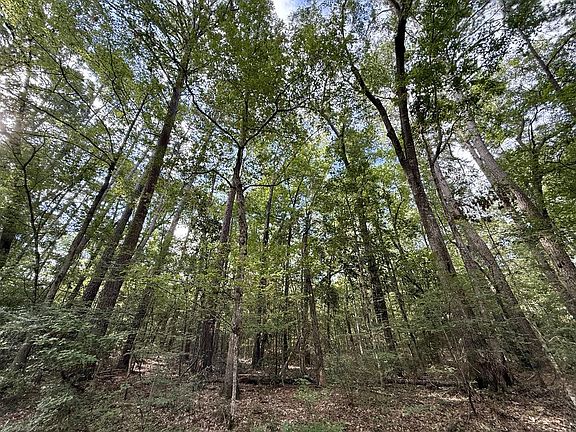 3rd image of LOT 954 Lakeshore Dr